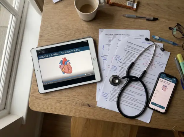 Die Module der Online-Akademie wie Video-Lektionen, PDF-Skripte und Multiple-Choice-Tests