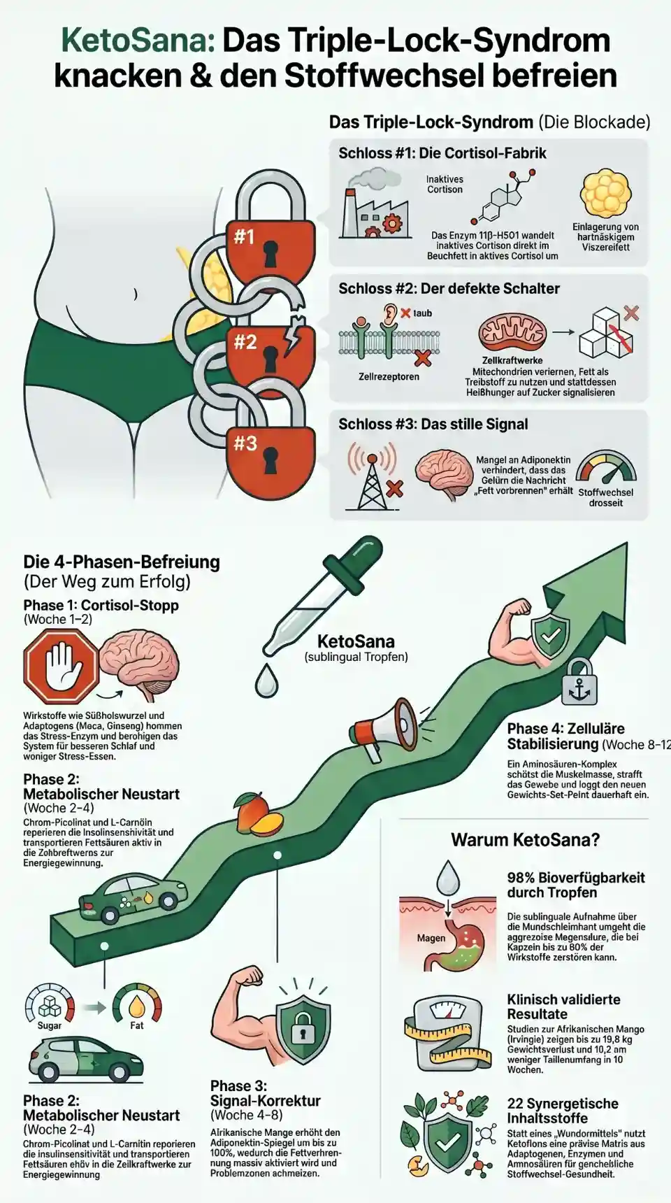 Infografik zur 4-Phasen-Befreiung und dem Triple-Lock-Syndrom durch KetoSana